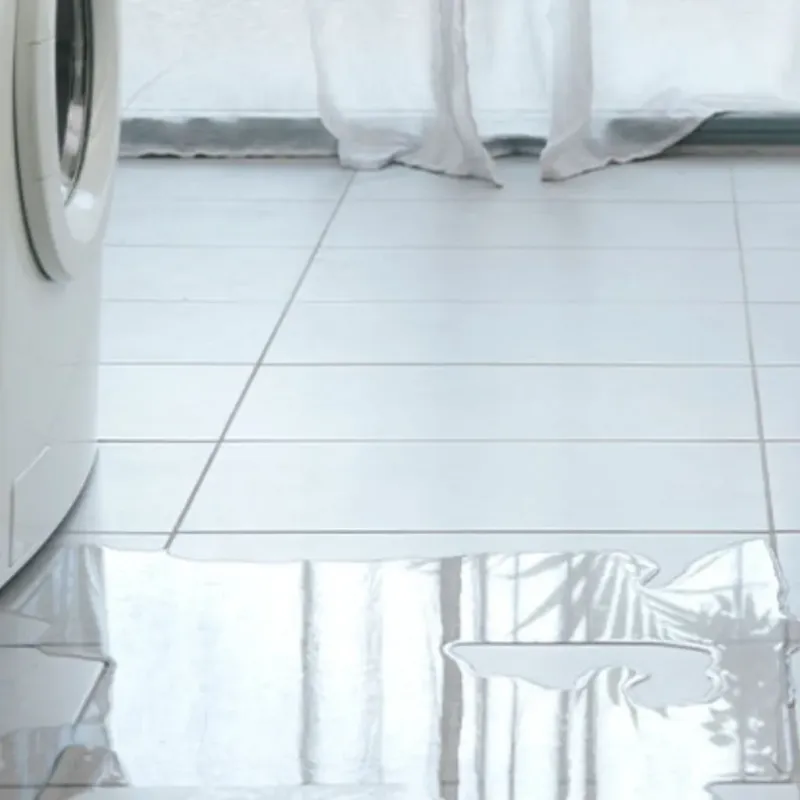 Appliance Leak Cleanup in Dakota County, MN
